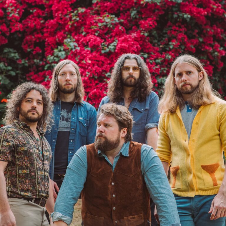 Sheepdogs 16 768x768